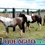 2º Leilão Fazendas Reunidas Cariri e Haras Cheval foi um sucesso 296