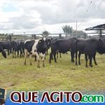 2º Leilão Fazendas Reunidas Cariri e Haras Cheval foi um sucesso 250