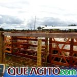 2º Leilão Fazendas Reunidas Cariri e Haras Cheval foi um sucesso 319