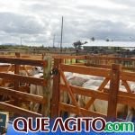 2º Leilão Fazendas Reunidas Cariri e Haras Cheval foi um sucesso 338