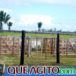 2º Leilão Fazendas Reunidas Cariri e Haras Cheval foi um sucesso 247