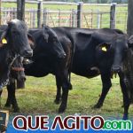 2º Leilão Fazendas Reunidas Cariri e Haras Cheval foi um sucesso 285