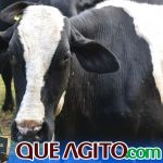 2º Leilão Fazendas Reunidas Cariri e Haras Cheval foi um sucesso 73