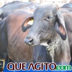 2º Leilão Fazendas Reunidas Cariri e Haras Cheval foi um sucesso 172