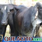 2º Leilão Fazendas Reunidas Cariri e Haras Cheval foi um sucesso 311