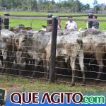 2º Leilão Fazendas Reunidas Cariri e Haras Cheval foi um sucesso 262