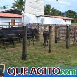 2º Leilão Fazendas Reunidas Cariri e Haras Cheval foi um sucesso 143