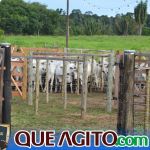2º Leilão Fazendas Reunidas Cariri e Haras Cheval foi um sucesso 163