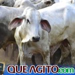 2º Leilão Fazendas Reunidas Cariri e Haras Cheval foi um sucesso 275