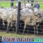 2º Leilão Fazendas Reunidas Cariri e Haras Cheval foi um sucesso 246