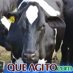 2º Leilão Fazendas Reunidas Cariri e Haras Cheval foi um sucesso 265