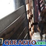 2º Leilão Fazendas Reunidas Cariri e Haras Cheval foi um sucesso 339