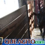 2º Leilão Fazendas Reunidas Cariri e Haras Cheval foi um sucesso 211