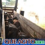 2º Leilão Fazendas Reunidas Cariri e Haras Cheval foi um sucesso 88