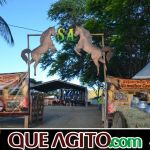 9ª Grande Cavalgada Na Terra do Forró reúne milhares de cavaleiros e amazonas em Ibicuí 471