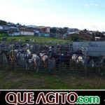 9ª Grande Cavalgada Na Terra do Forró reúne milhares de cavaleiros e amazonas em Ibicuí 313