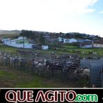 9ª Grande Cavalgada Na Terra do Forró reúne milhares de cavaleiros e amazonas em Ibicuí 463