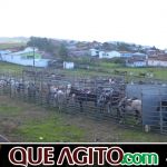 9ª Grande Cavalgada Na Terra do Forró reúne milhares de cavaleiros e amazonas em Ibicuí 419