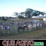 9ª Grande Cavalgada Na Terra do Forró reúne milhares de cavaleiros e amazonas em Ibicuí 746