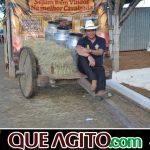 9ª Grande Cavalgada Na Terra do Forró reúne milhares de cavaleiros e amazonas em Ibicuí 660