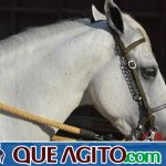 4º Aniversário do Rancho Guimarães foi um verdadeiro sucesso 37