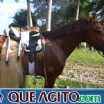 4º Aniversário do Rancho Guimarães foi um verdadeiro sucesso 185