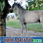 4º Aniversário do Rancho Guimarães foi um verdadeiro sucesso 197