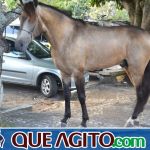 4º Aniversário do Rancho Guimarães foi um verdadeiro sucesso 131