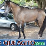 4º Aniversário do Rancho Guimarães foi um verdadeiro sucesso 357