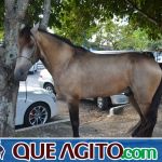 4º Aniversário do Rancho Guimarães foi um verdadeiro sucesso 267