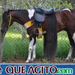 4º Aniversário do Rancho Guimarães foi um verdadeiro sucesso 54