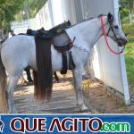 4º Aniversário do Rancho Guimarães foi um verdadeiro sucesso 376