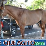 4º Aniversário do Rancho Guimarães foi um verdadeiro sucesso 243