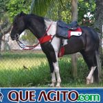 4º Aniversário do Rancho Guimarães foi um verdadeiro sucesso 279