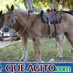 4º Aniversário do Rancho Guimarães foi um verdadeiro sucesso 74