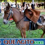 4º Aniversário do Rancho Guimarães foi um verdadeiro sucesso 23