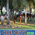 4º Aniversário do Rancho Guimarães foi um verdadeiro sucesso 329