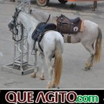9ª Grande Cavalgada Na Terra do Forró reúne milhares de cavaleiros e amazonas em Ibicuí 108