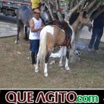 9ª Grande Cavalgada Na Terra do Forró reúne milhares de cavaleiros e amazonas em Ibicuí 430