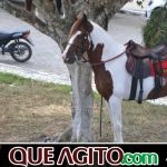 9ª Grande Cavalgada Na Terra do Forró reúne milhares de cavaleiros e amazonas em Ibicuí 357