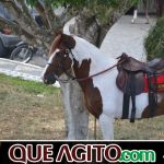 9ª Grande Cavalgada Na Terra do Forró reúne milhares de cavaleiros e amazonas em Ibicuí 669