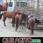 9ª Grande Cavalgada Na Terra do Forró reúne milhares de cavaleiros e amazonas em Ibicuí 389