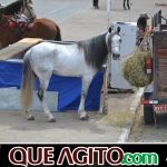 9ª Grande Cavalgada Na Terra do Forró reúne milhares de cavaleiros e amazonas em Ibicuí 524