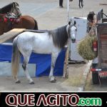 9ª Grande Cavalgada Na Terra do Forró reúne milhares de cavaleiros e amazonas em Ibicuí 594