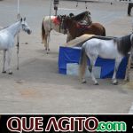 9ª Grande Cavalgada Na Terra do Forró reúne milhares de cavaleiros e amazonas em Ibicuí 589