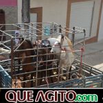 9ª Grande Cavalgada Na Terra do Forró reúne milhares de cavaleiros e amazonas em Ibicuí 487