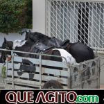 9ª Grande Cavalgada Na Terra do Forró reúne milhares de cavaleiros e amazonas em Ibicuí 687