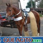 4º Aniversário do Rancho Guimarães foi um verdadeiro sucesso 25