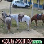 9ª Grande Cavalgada Na Terra do Forró reúne milhares de cavaleiros e amazonas em Ibicuí 791