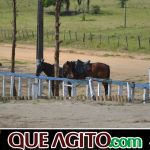 9ª Grande Cavalgada Na Terra do Forró reúne milhares de cavaleiros e amazonas em Ibicuí 543